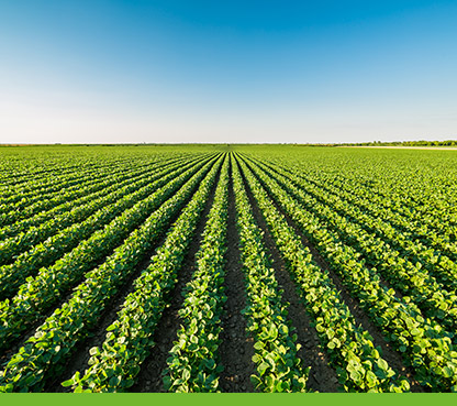 soluções para agricultura sumitomo chemical