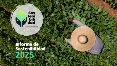 Relatório Sustentabilidade ano 2025